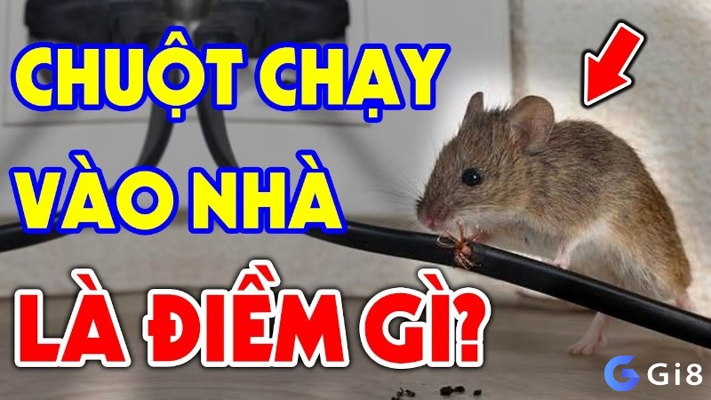 Chuột chạy vào nhà là dấu hiệu của mâu thuẫn hoặc xung đột trong mối quan hệ