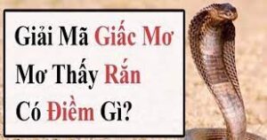 Giải mã giấc mơ thấy rắn ấn chứa điều gì? Điềm lành hay dữ