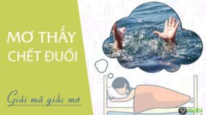 Chiêm bao thấy chết đuối mang ý nghĩa gì? Đánh con gì trúng đề