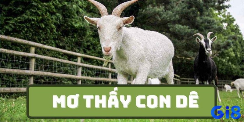 Theo như Gi8 việc nằm mơ thấy dê tức là bạn sắp nhận được những điềm báo tốt lành đang đến với bạn