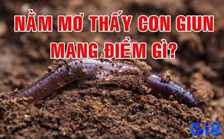 Cùng gi8 tìm hiểu mơ thấy giun đất đánh đề con gì nhé!