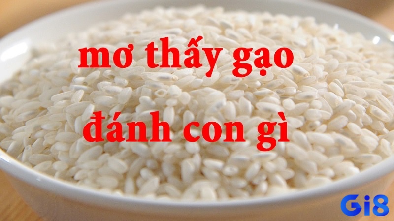 Cùng gi8 tìm hiểu về mơ thấy mua gạo đánh đề con gì nhé 